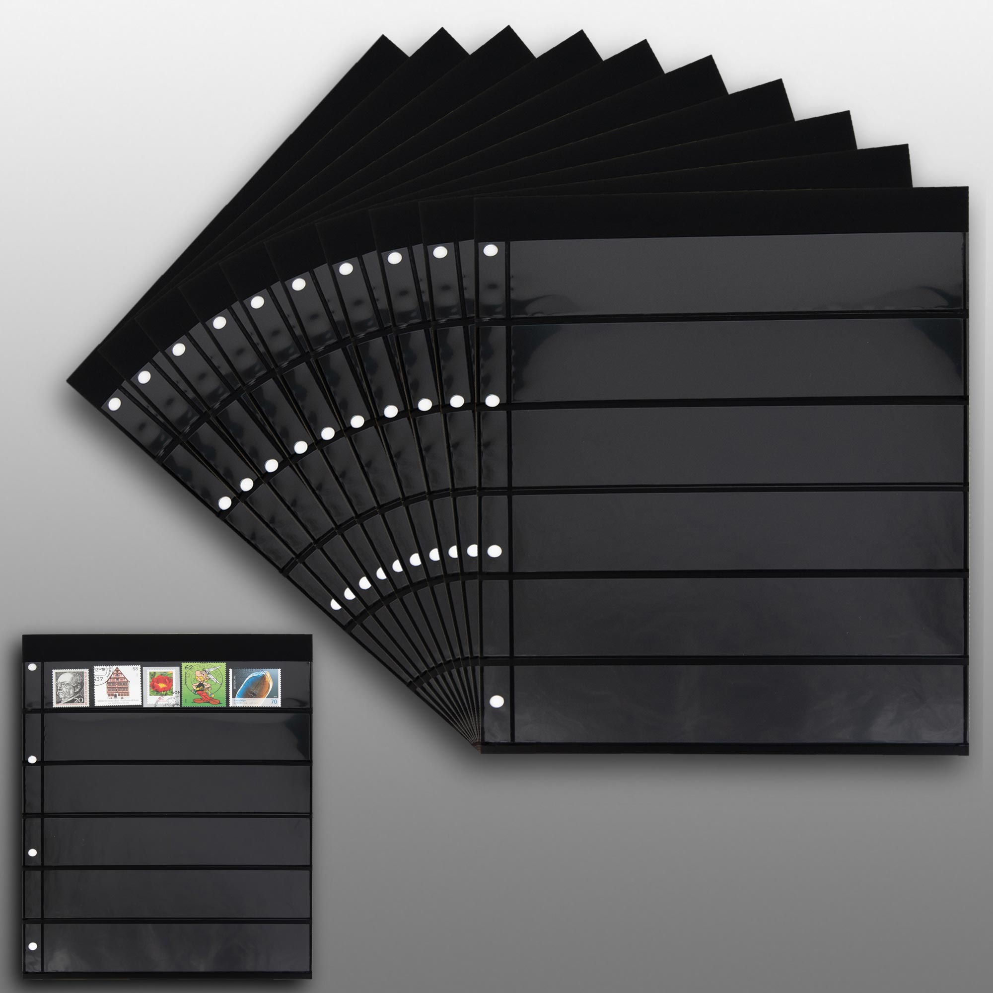 Prophila Collection 20 Einsteckseiten 6zeilig, auf 10 doppelseitigen, schwarzen Einsteckbl�ttern